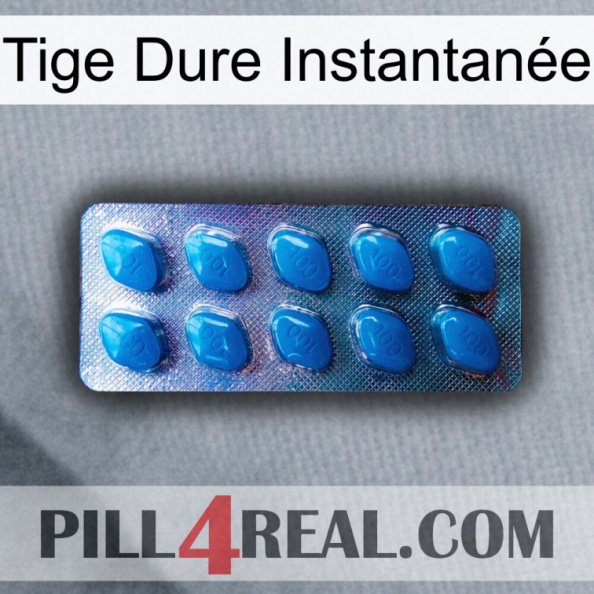 Tige Dure Instantanée viagra1